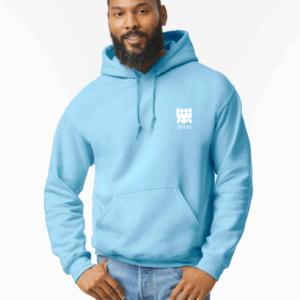 heavy blend adult hooded sweatshirt bleu clair, 2xl